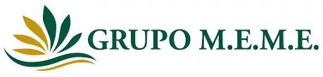 Grupo HAME